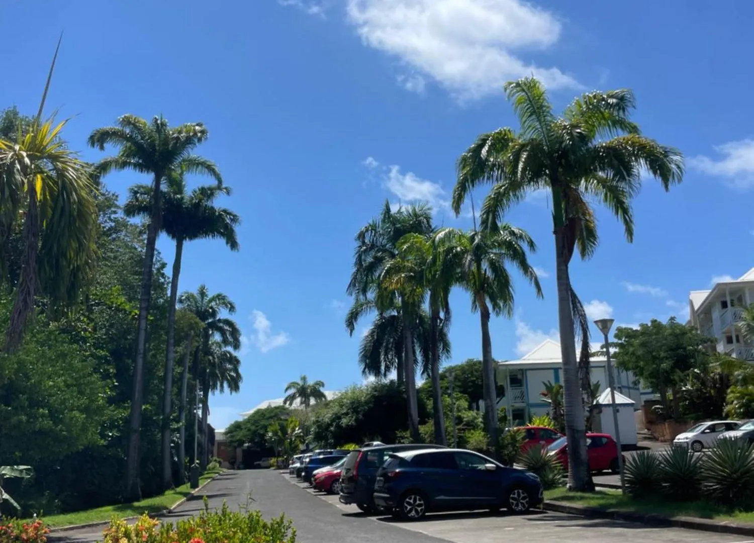 Daire Le Catelya - Residence Manganao Saint-Francois  Guadeloupe